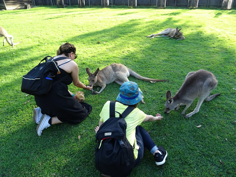 Qué ver en Brisbane | 10 lugares imprescindibles