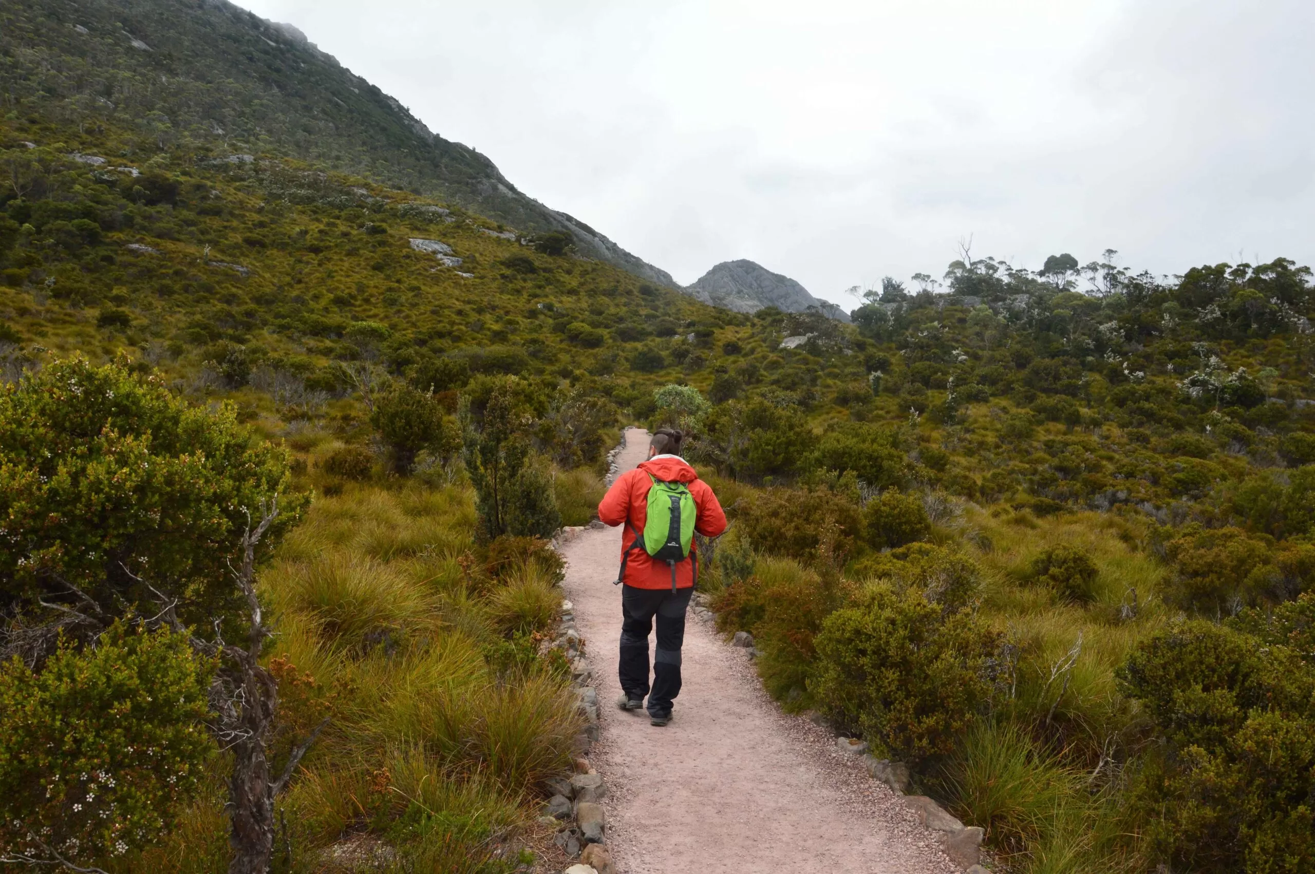 roadtrip por tasmania