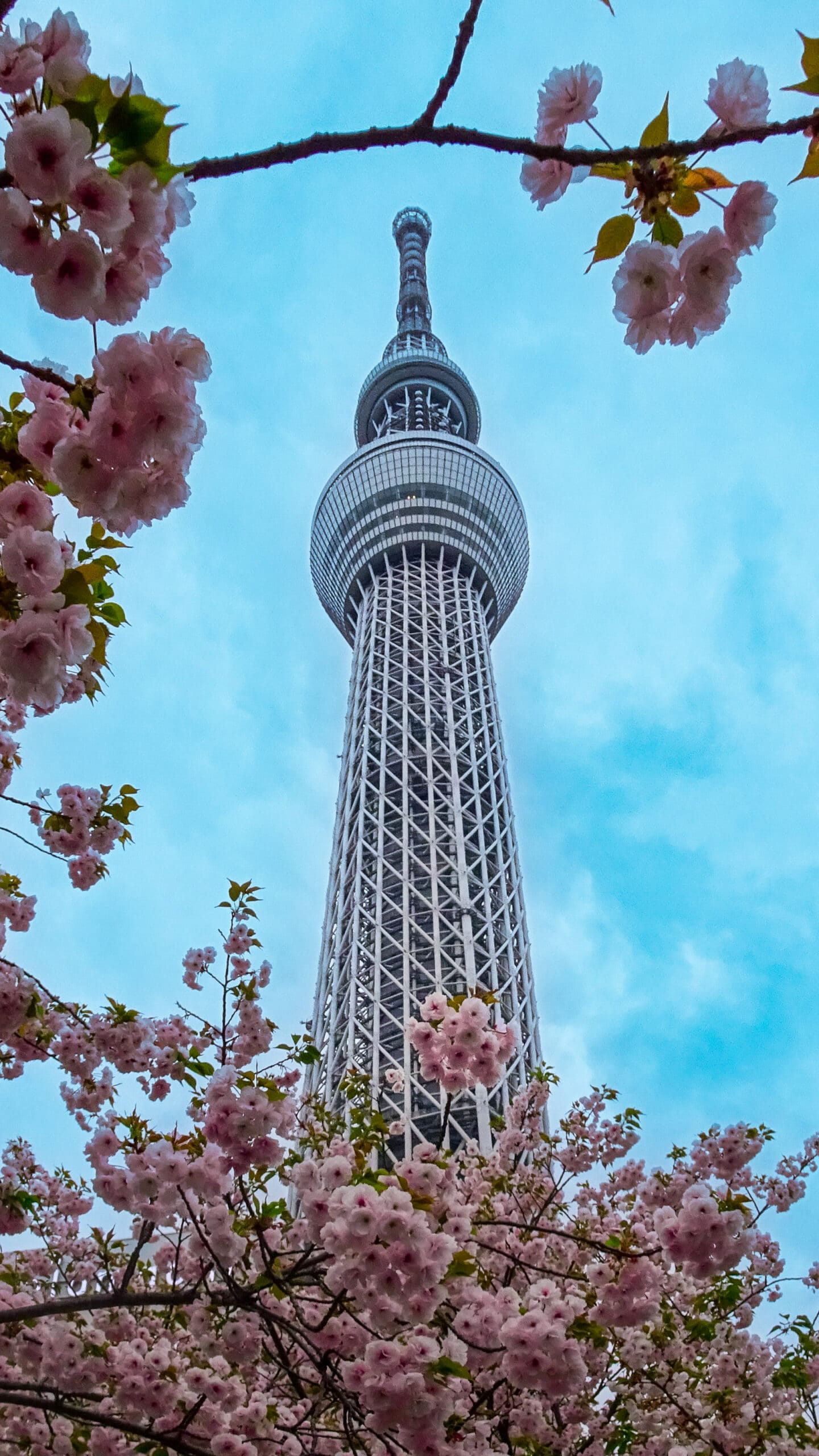 Tokio