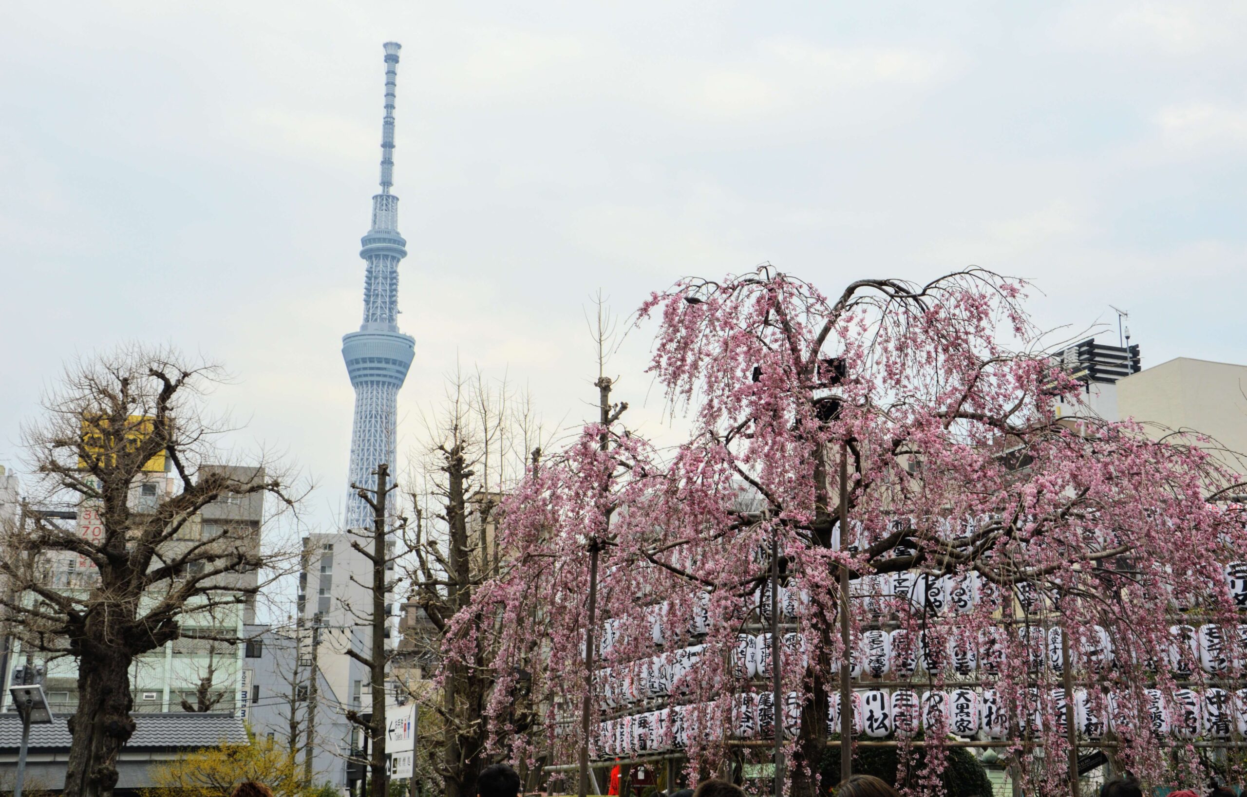 Skytower en Asakusa