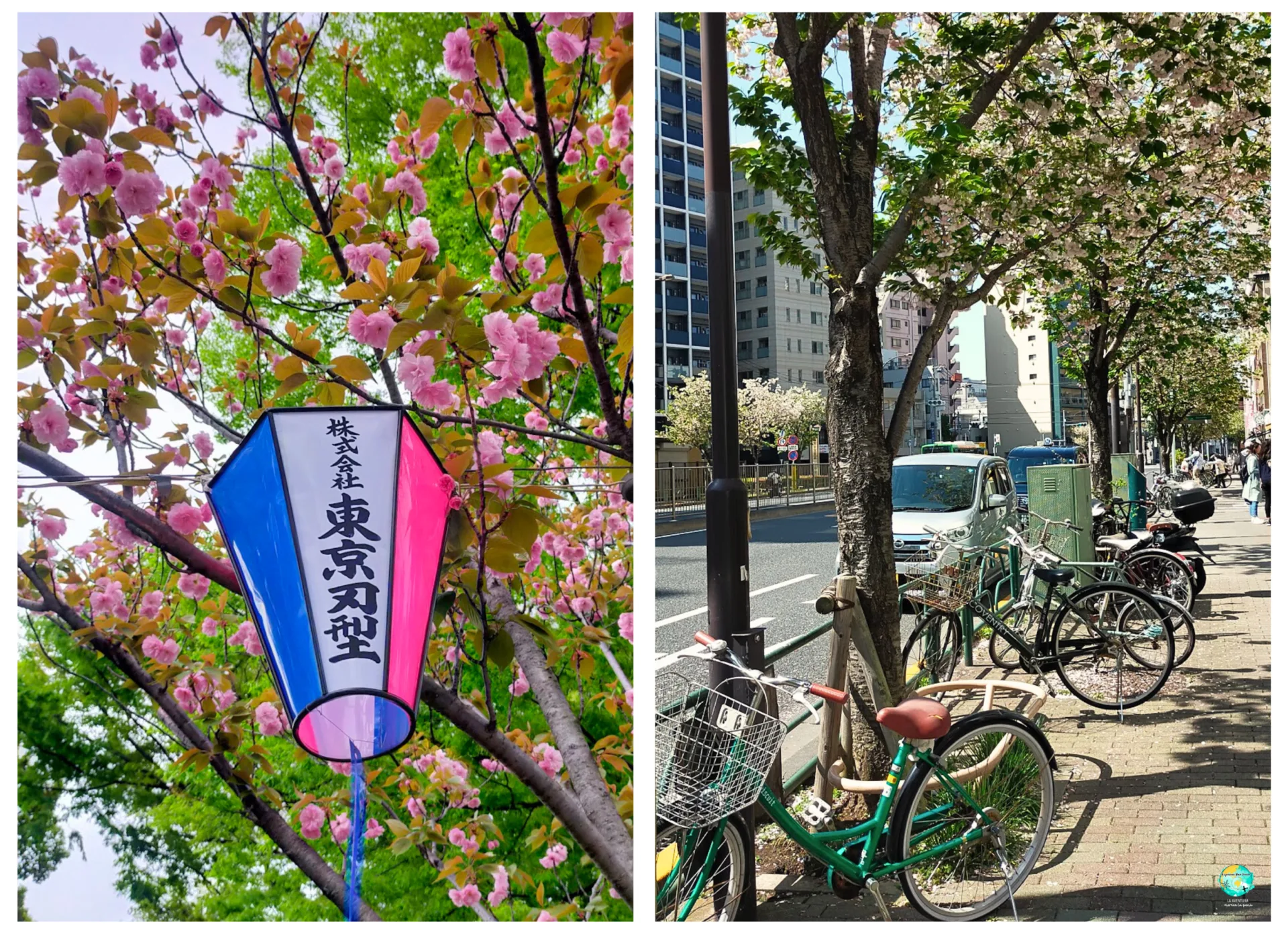tokio streets
