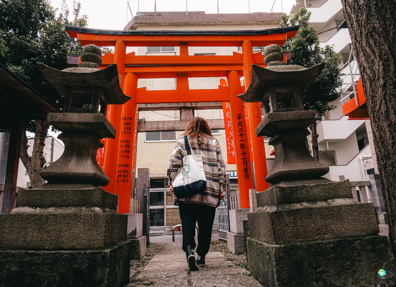 CÓMO ORGANIZAR UN VIAJE A JAPÓN