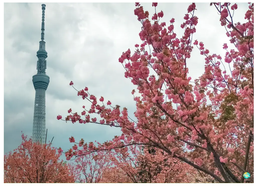 viajar a japon portada