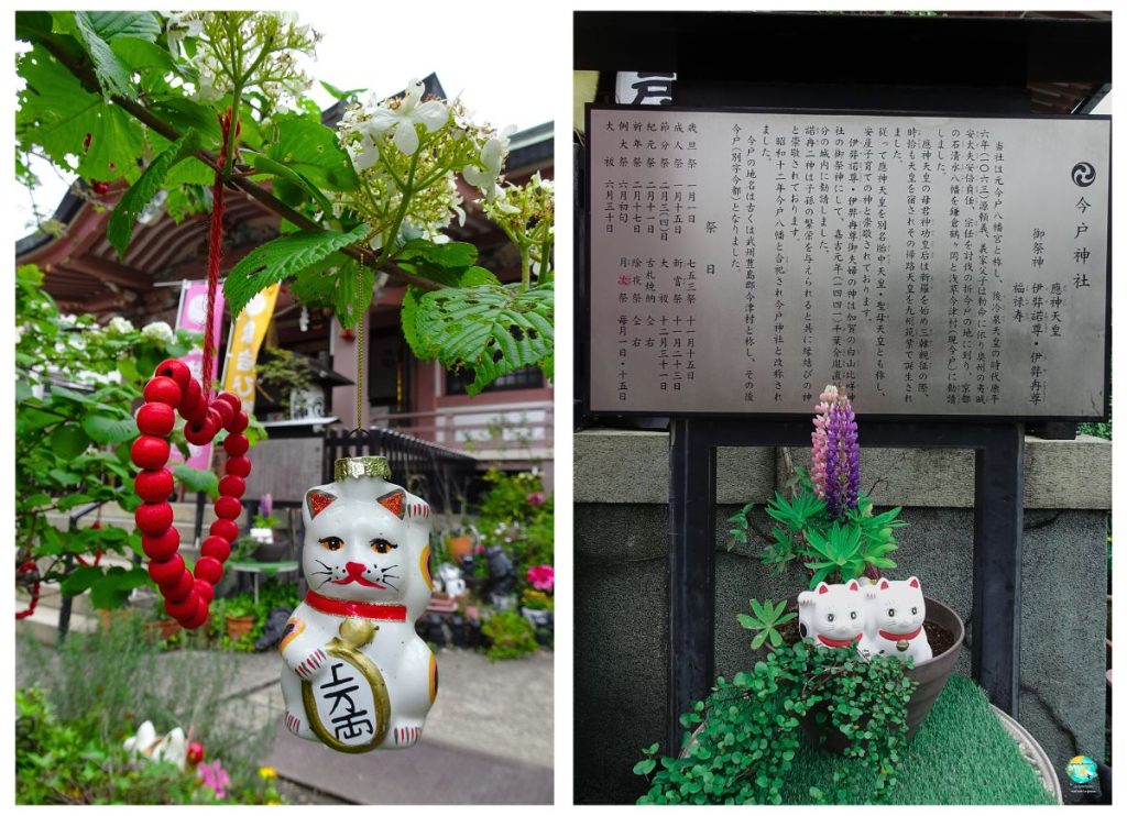 santuario Imado decoration maneki Neko