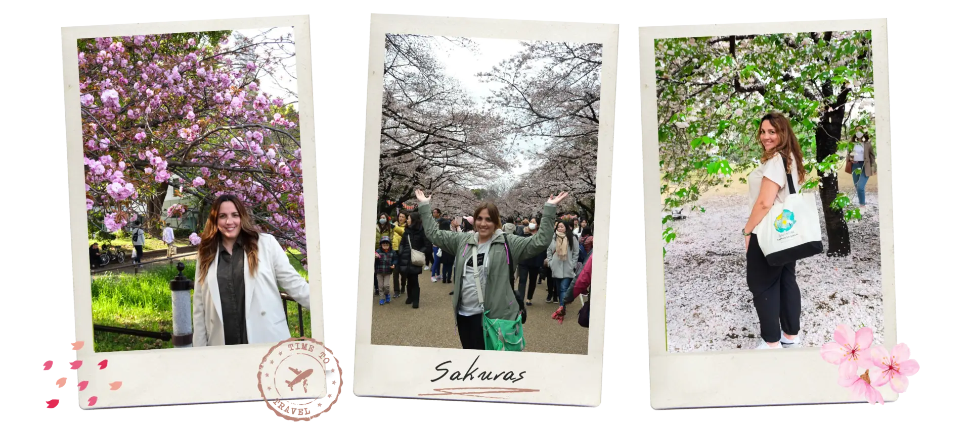 flores de cerezo en japon
