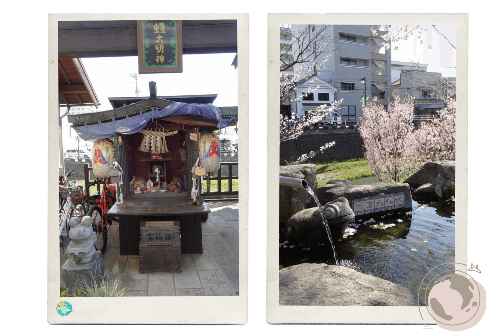 que ver en Matsumoto ranas