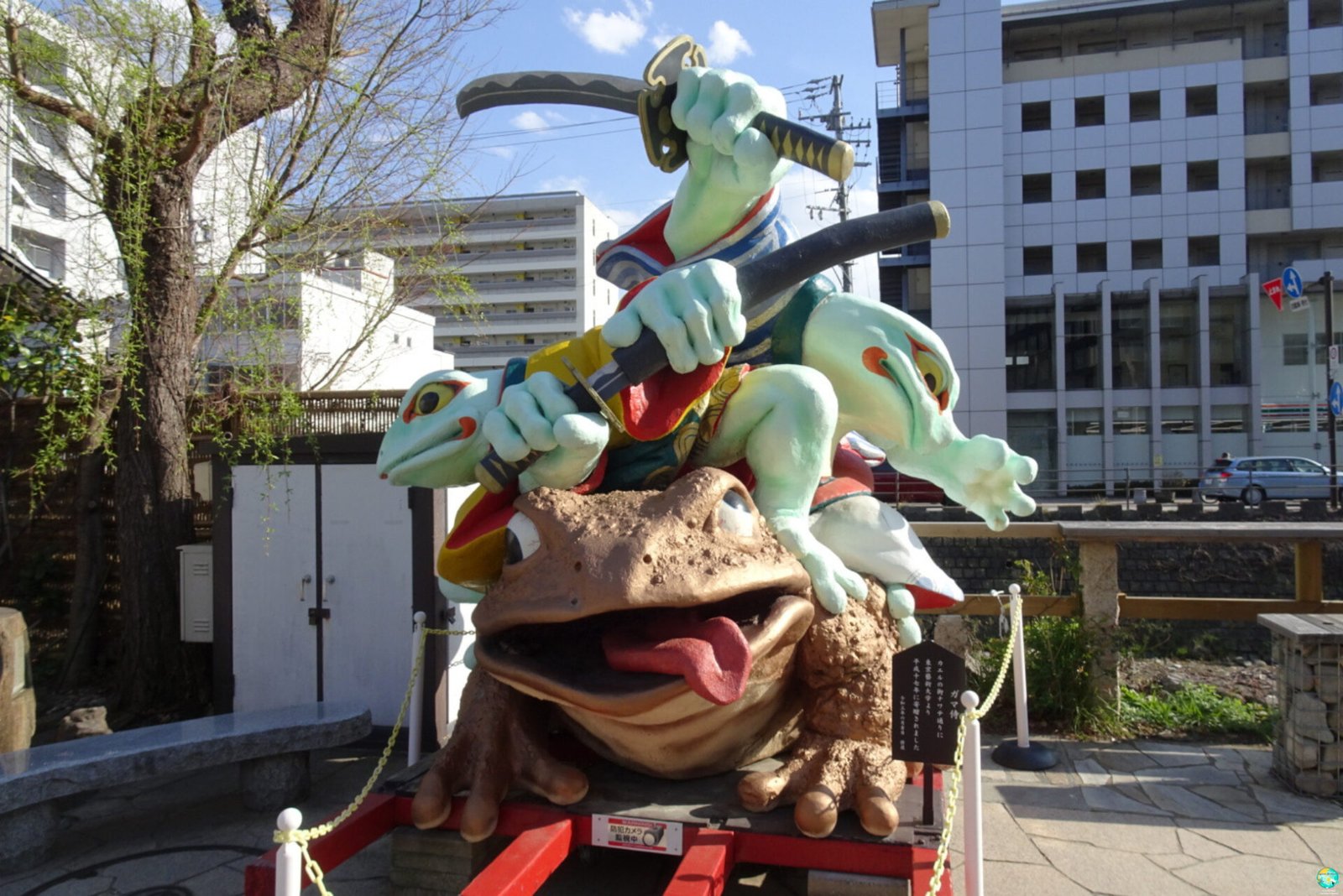 que ver en Matsumoto ranas