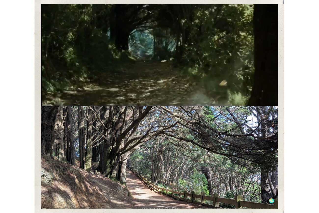 Localizaciones de El Señor de los Anillos en Wellington