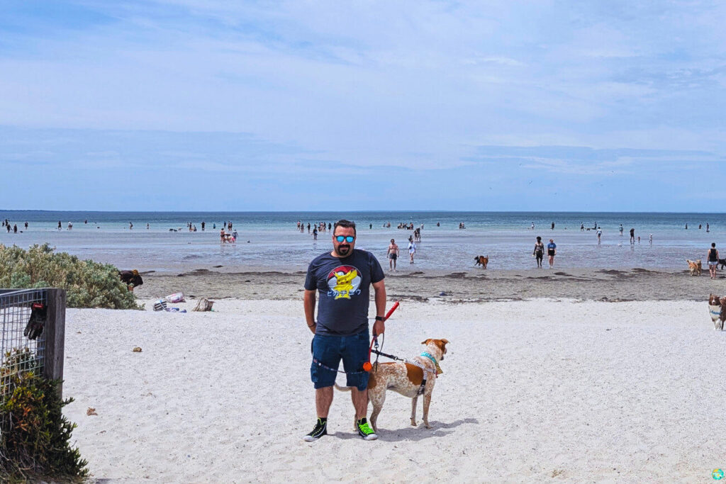 Playas para perros en Melbourne