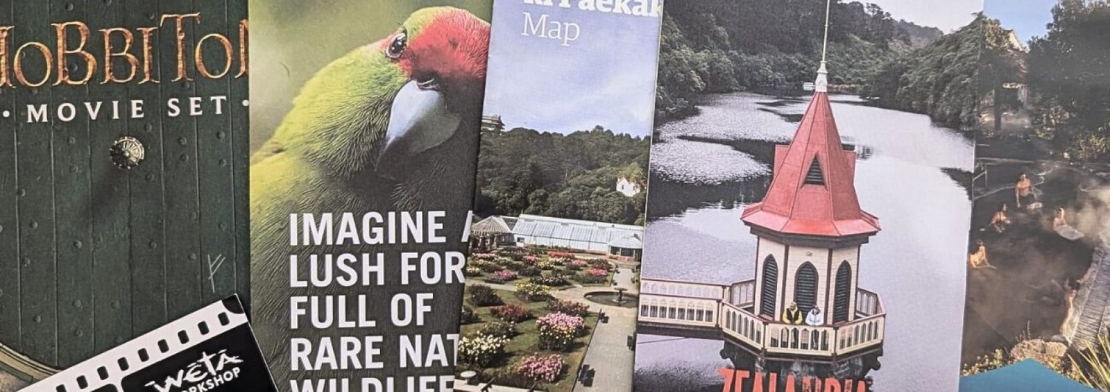 Cómo organizar un viaje a Nueva Zelanda portada
