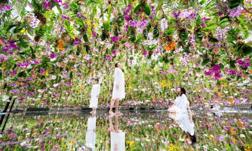 teamlab-planets-entradas
